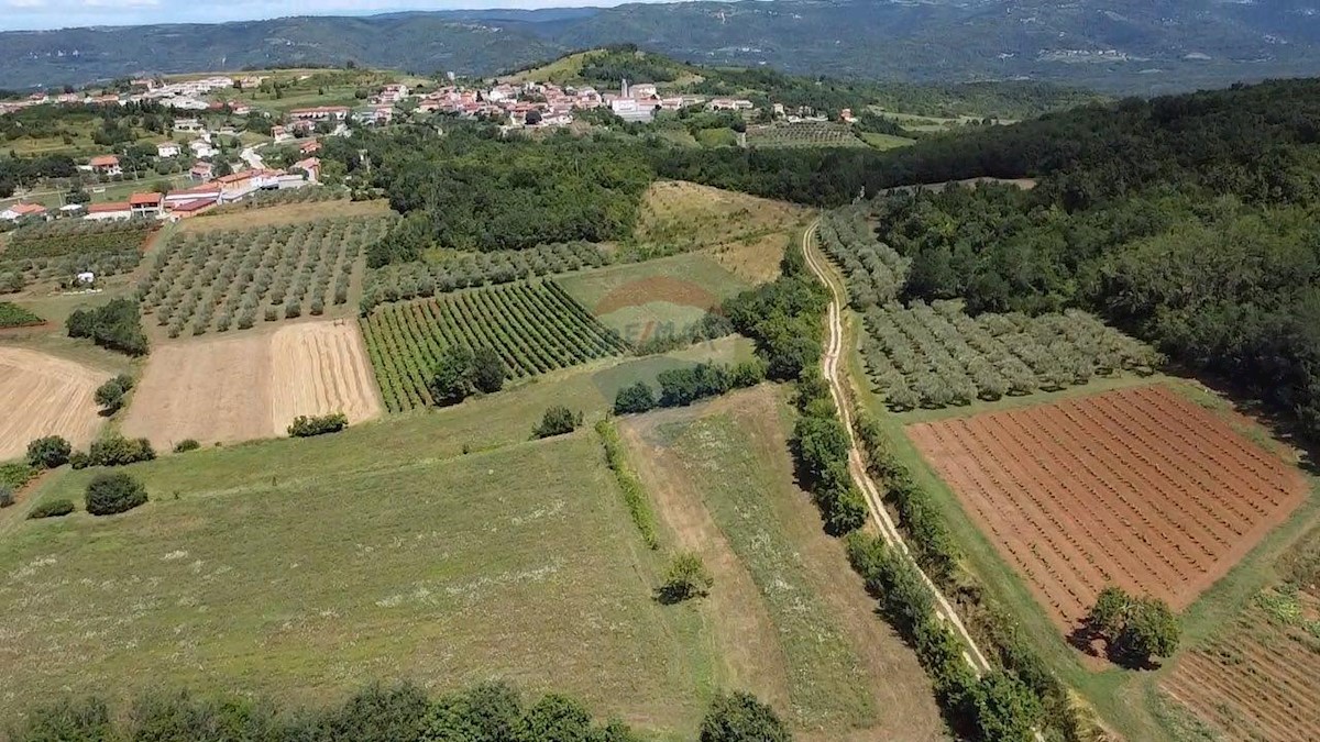 Stavbno zemljišče Vižinada, 31.525m2