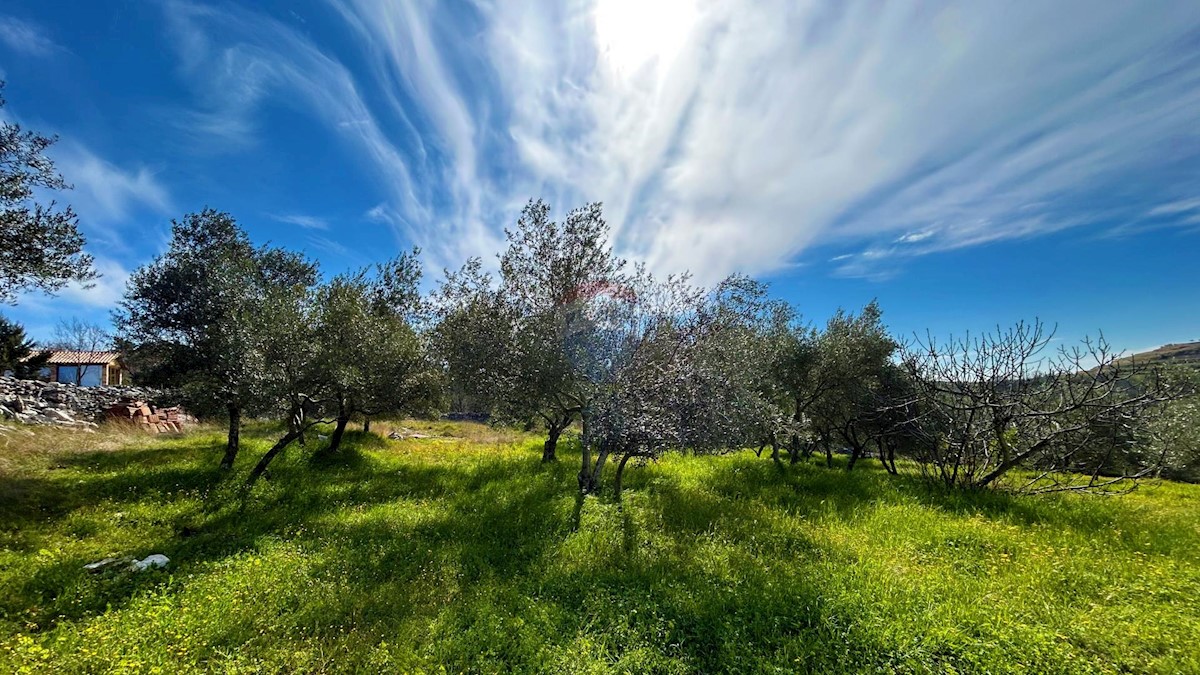 ISTRIA, BUJE - Detached house and large building plot