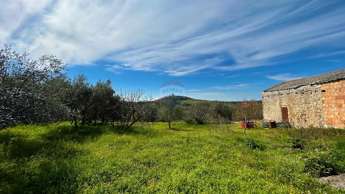ISTRIA, BUJE - Detached house and large building plot