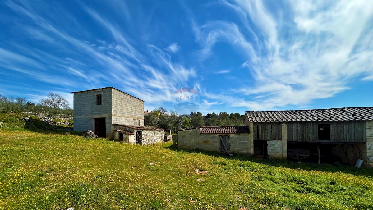 ISTRIA, BUJE - Detached house and large building plot