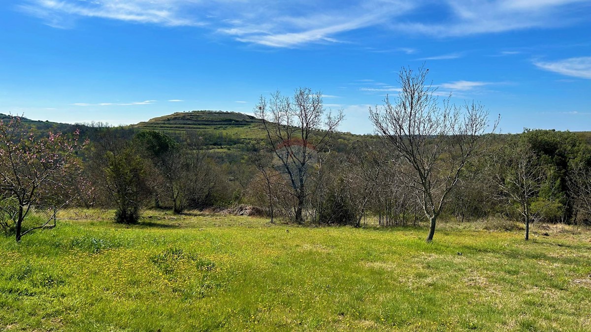 ISTRIA, BUJE - Detached house and large building plot