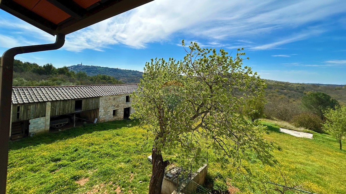 ISTRIA, BUJE - Detached house and large building plot