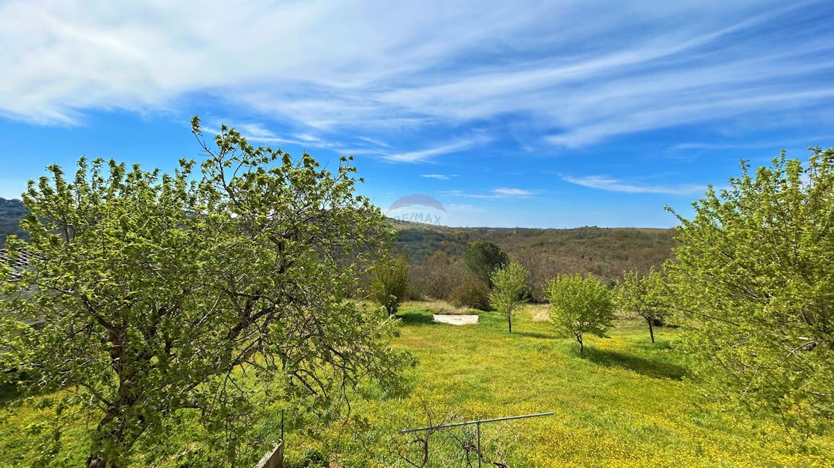 ISTRIA, BUJE - Detached house and large building plot