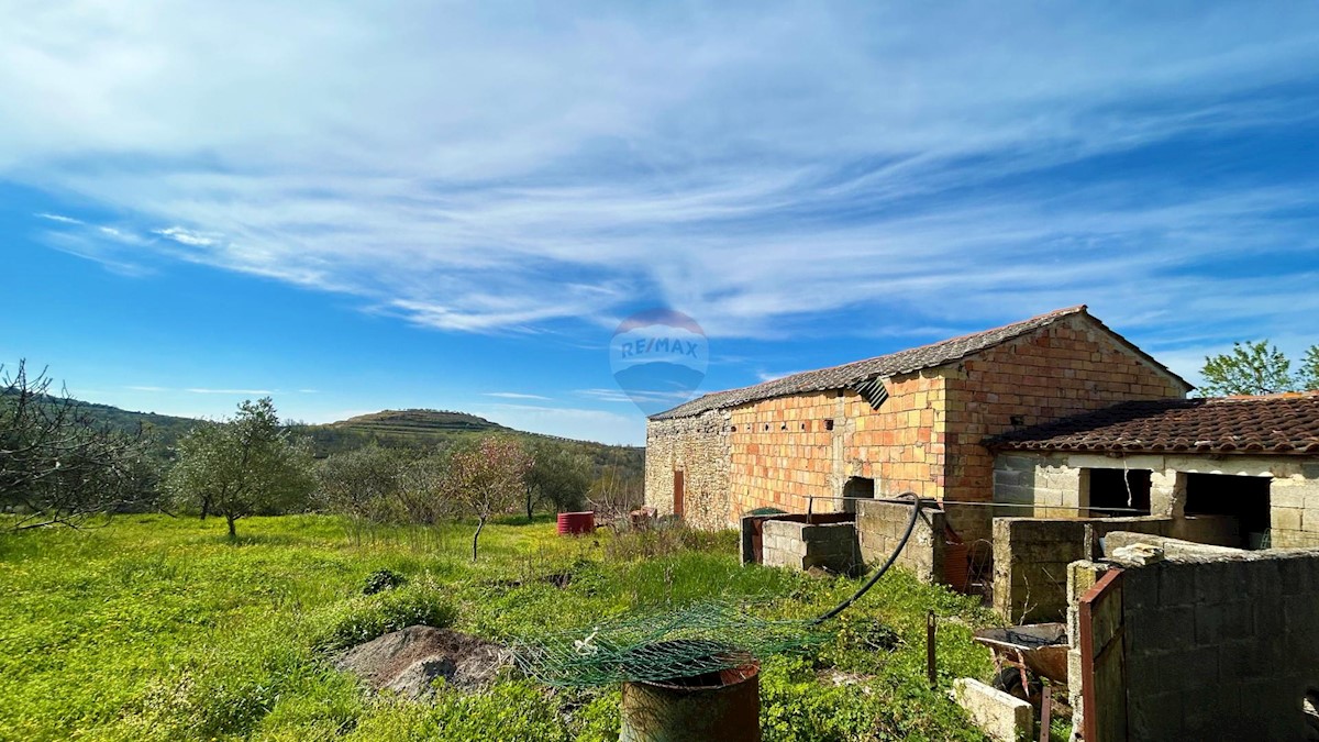 ISTRIA, BUJE - Detached house and large building plot