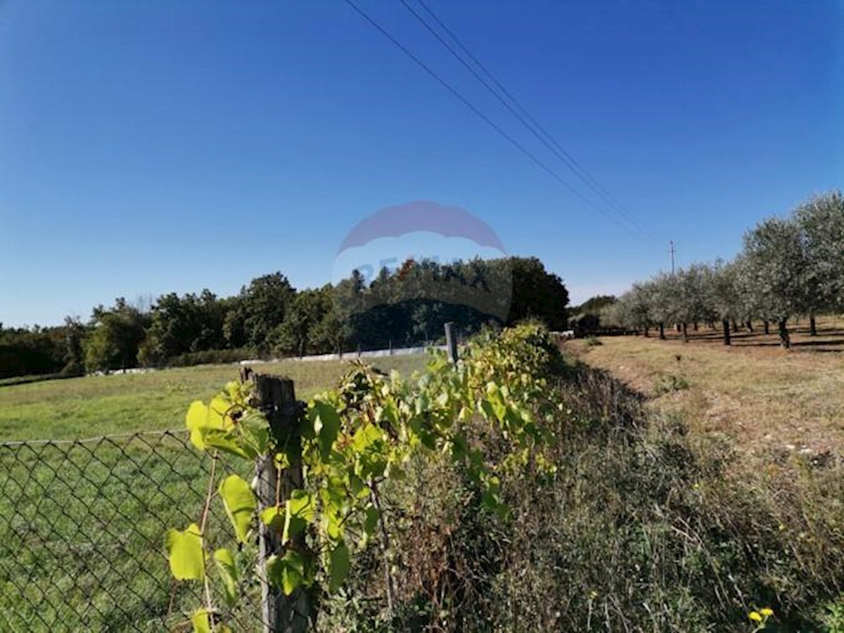 Stavbno zemljišče Perini, Sveti Lovreč, 3.231m2