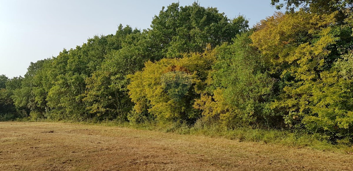 Stavbno zemljišče Valtura, Ližnjan, 5.249m2