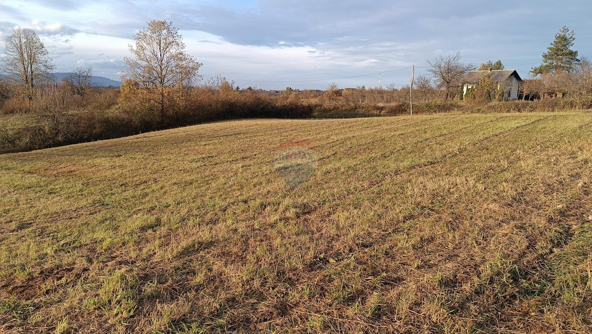 Stavbno zemljišče Tounj, 1.291m2