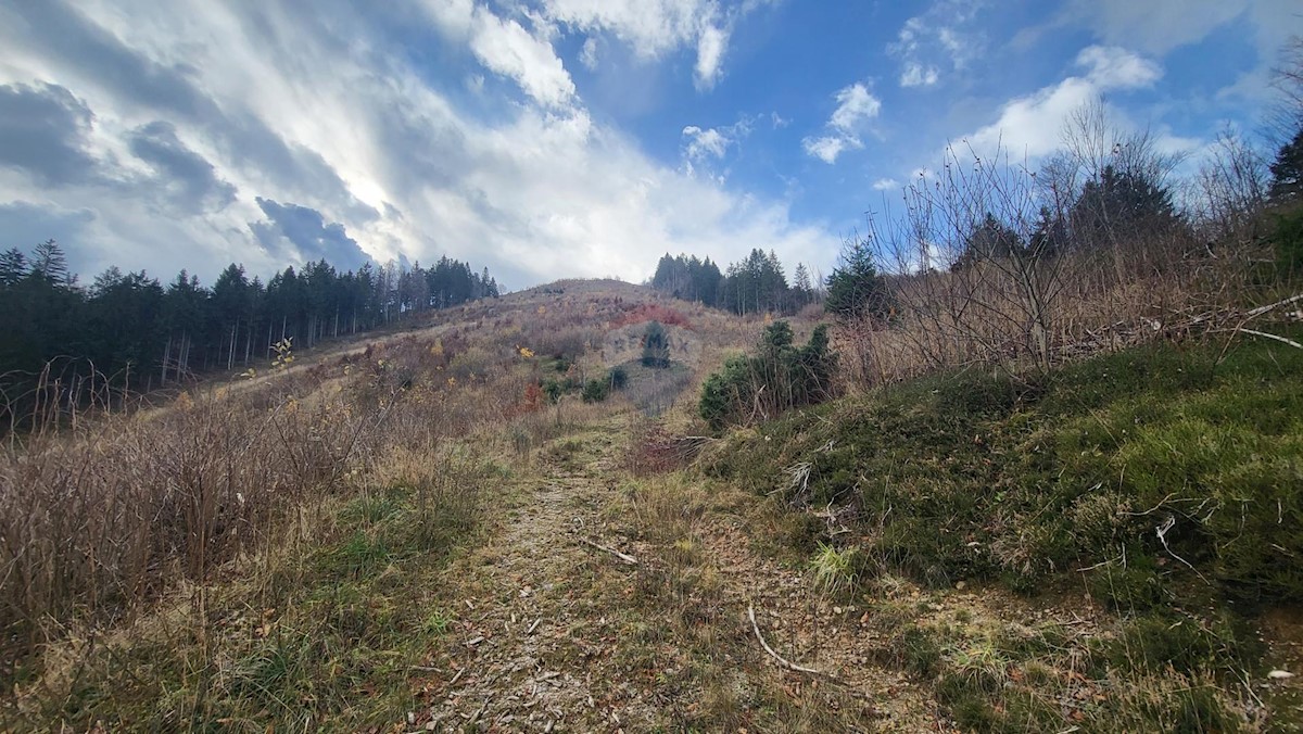 Stavbno zemljišče Sunger, Mrkopalj, 18.172m2