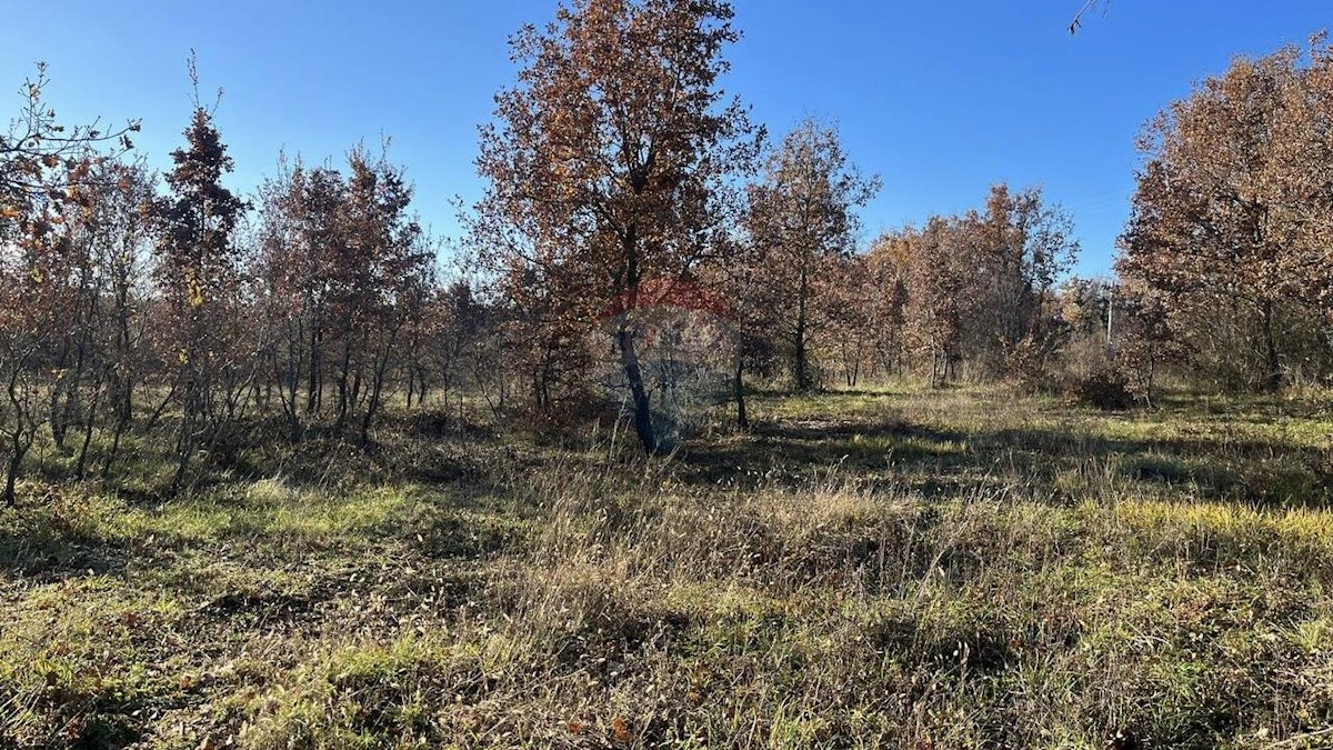 Stavbno zemljišče Jasenovica, Poreč, 8.520m2