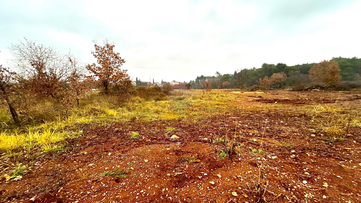 Stavbno zemljišče Umag, 6.000m2