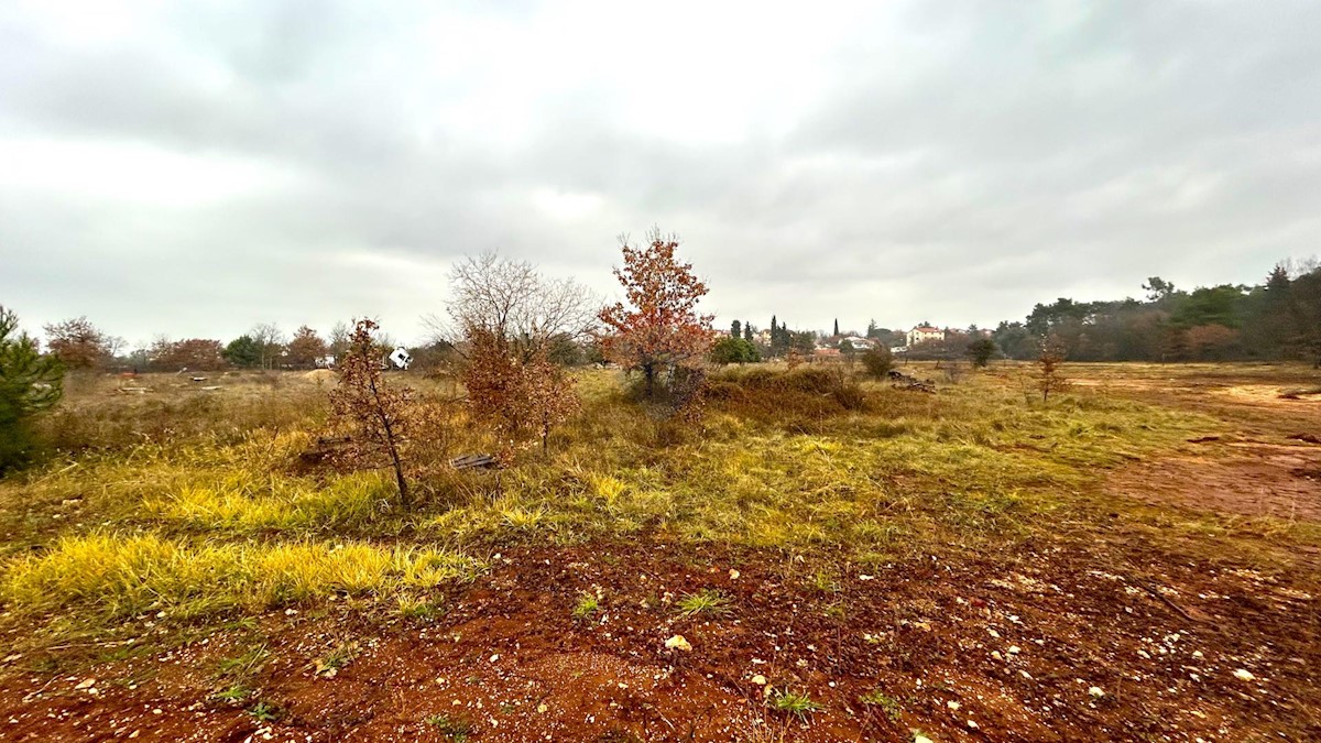 Stavbno zemljišče Umag, 6.000m2