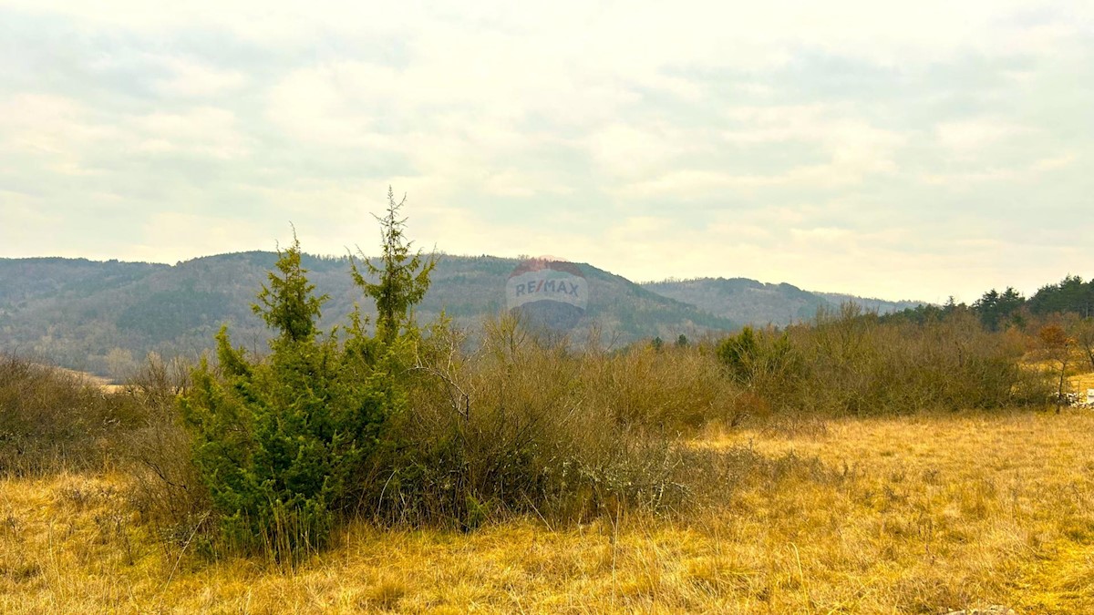 Stavbno zemljišče Završje, Grožnjan, 2.284m2