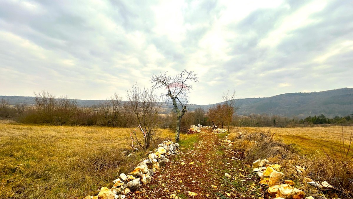 Stavbno zemljišče Završje, Grožnjan, 2.284m2