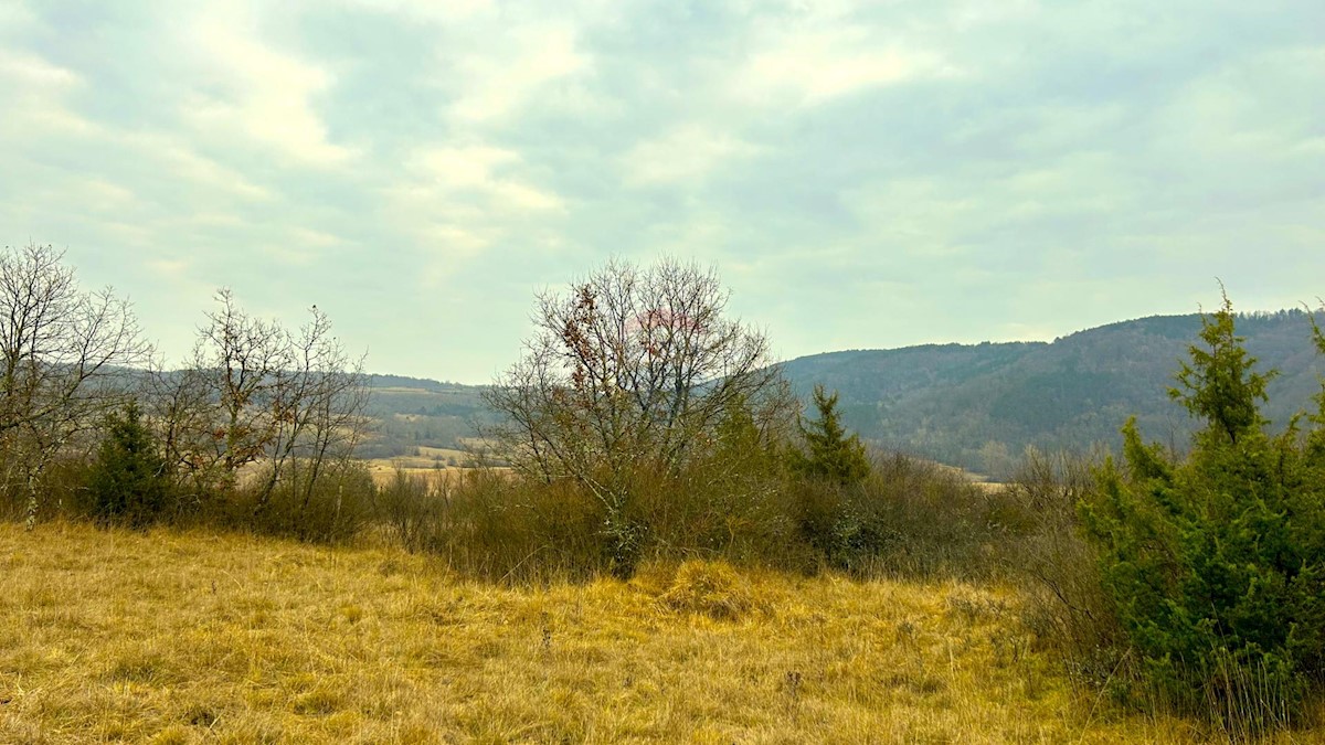 Stavbno zemljišče Završje, Grožnjan, 2.284m2