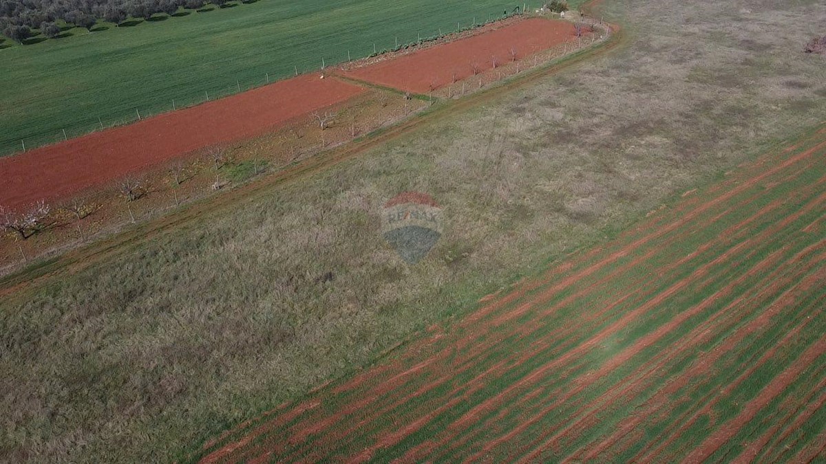 Stavbno zemljišče Dračevac, Poreč, 9.776m2