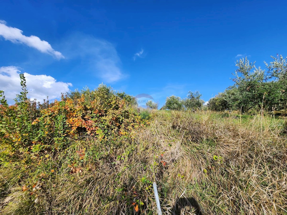 Stavbno zemljišče Račice, Buzet, 6.808m2