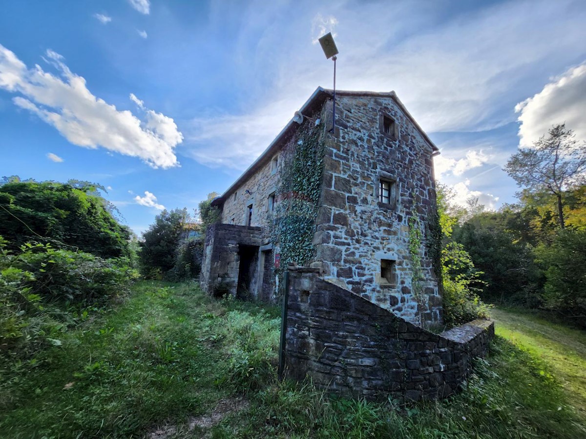 Stavbno zemljišče Račice, Buzet, 6.808m2