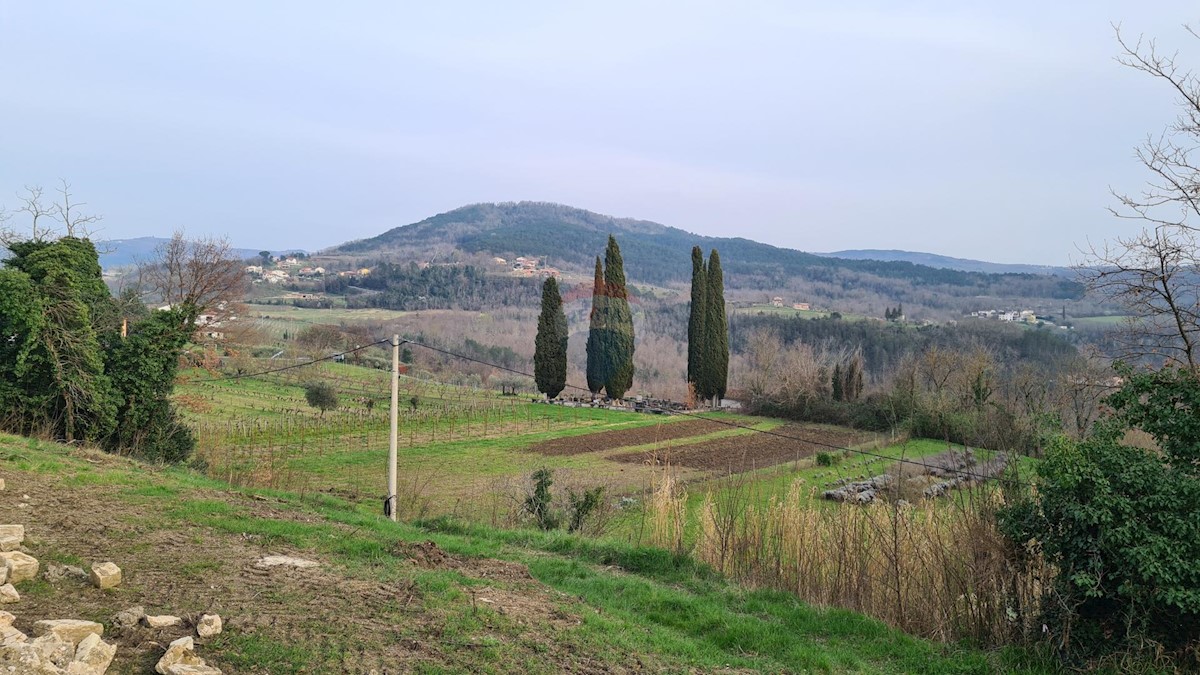 Stavbno zemljišče Motovun, 1.380m2