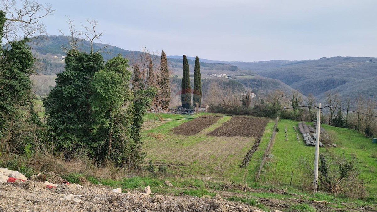 Stavbno zemljišče Motovun, 1.380m2