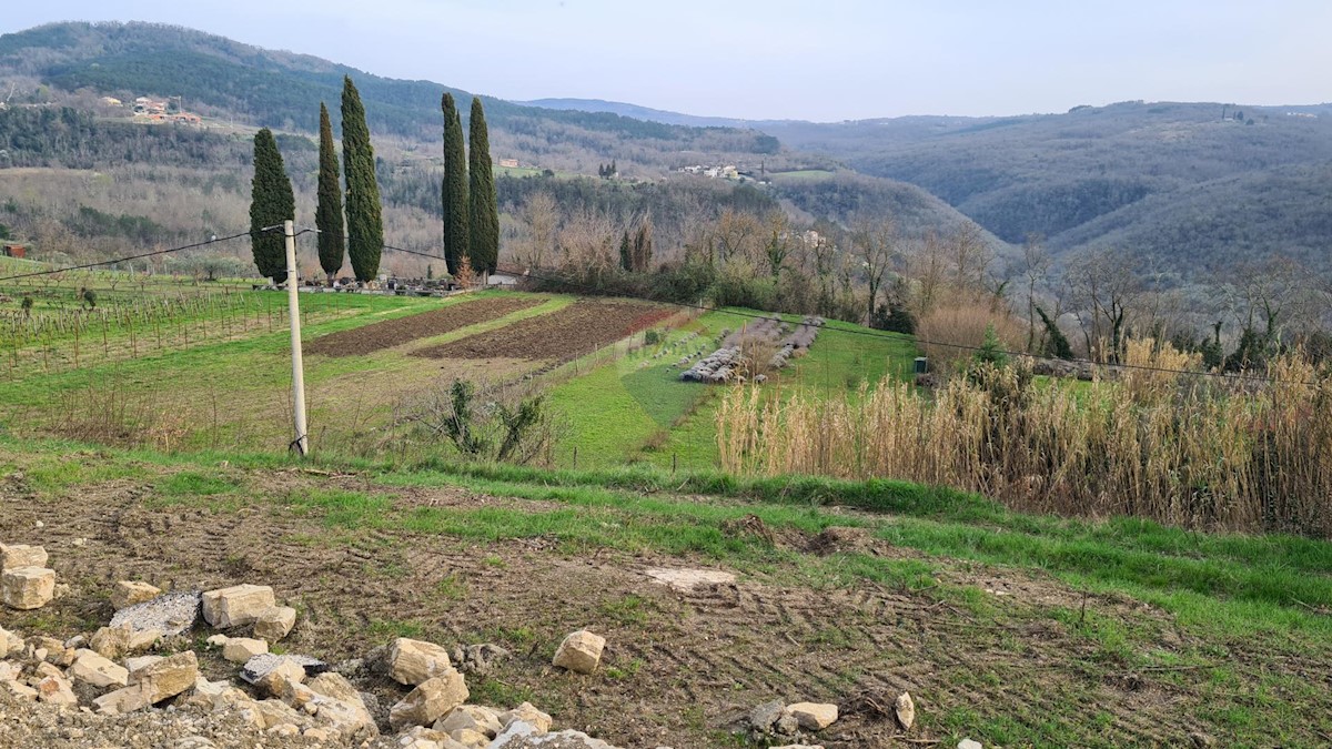 Stavbno zemljišče Motovun, 1.380m2