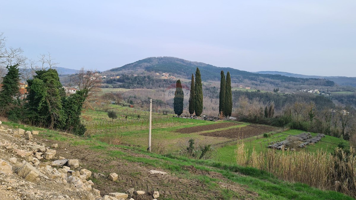 Stavbno zemljišče Motovun, 1.380m2