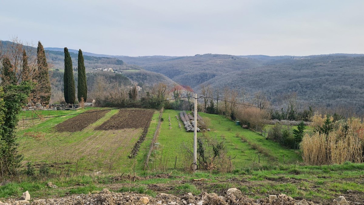 Stavbno zemljišče Motovun, 1.380m2