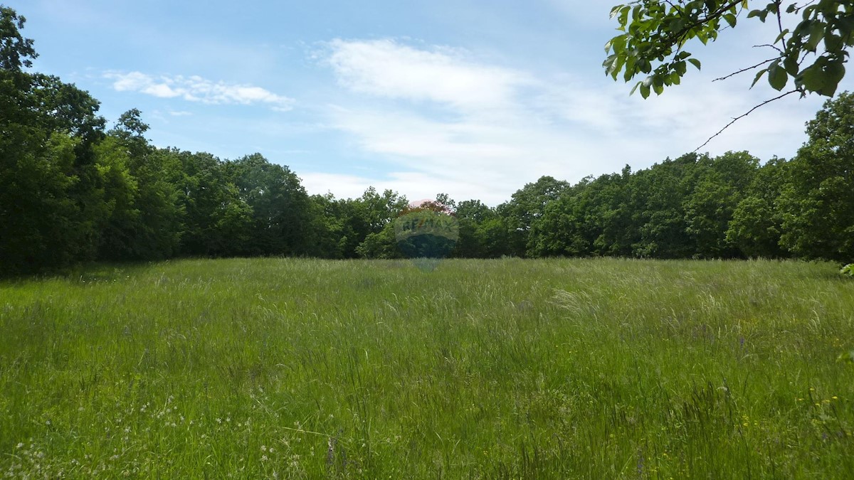 Stavbno zemljišče Štifanići, Poreč, 1.760m2