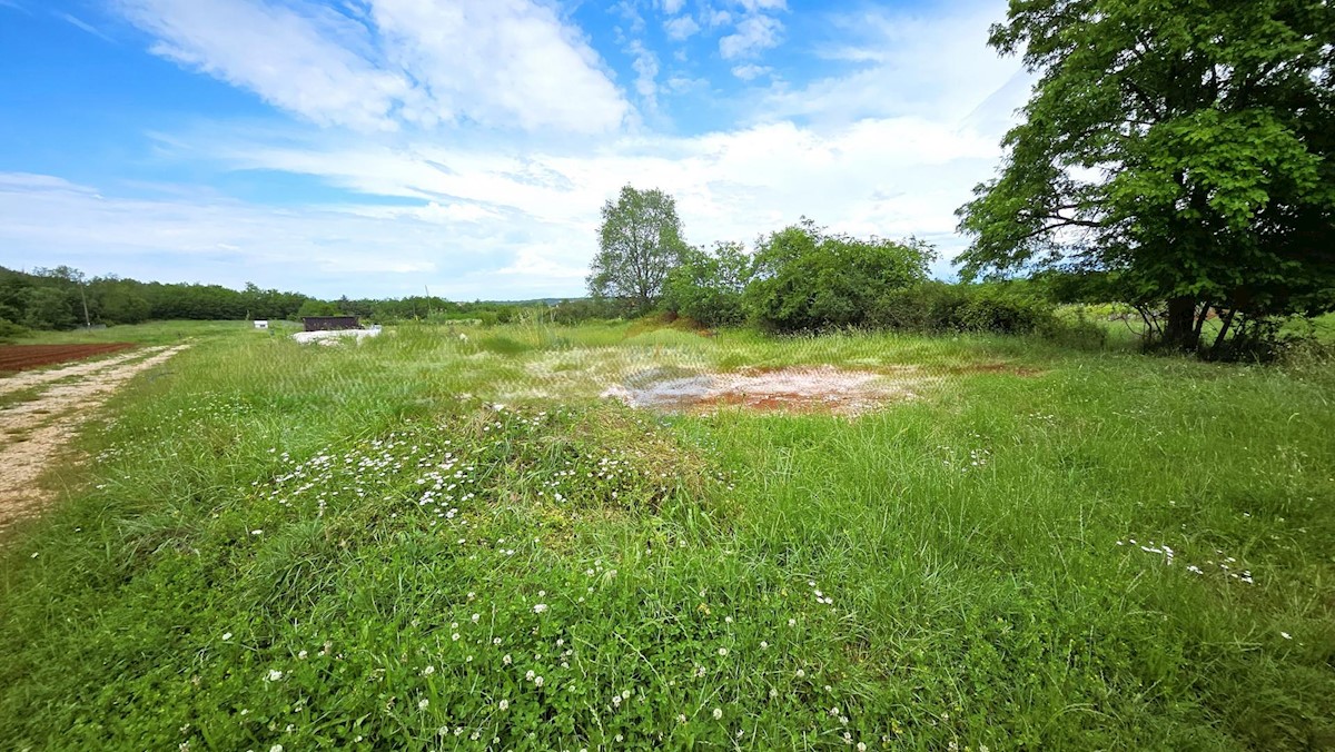 Stavbno zemljišče Umag, 507m2