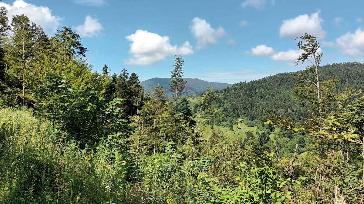 Stavbno zemljišče Vrata, Fužine, 5.399m2