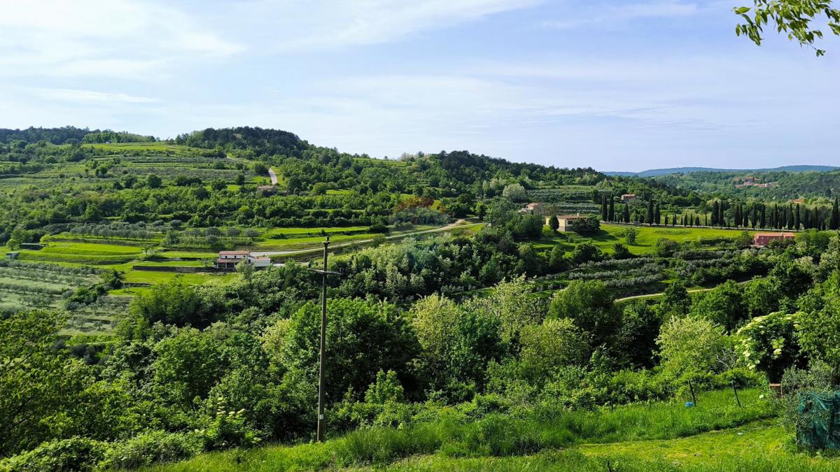 Istra, Oprtalj – Kamnita hiša za prenovo