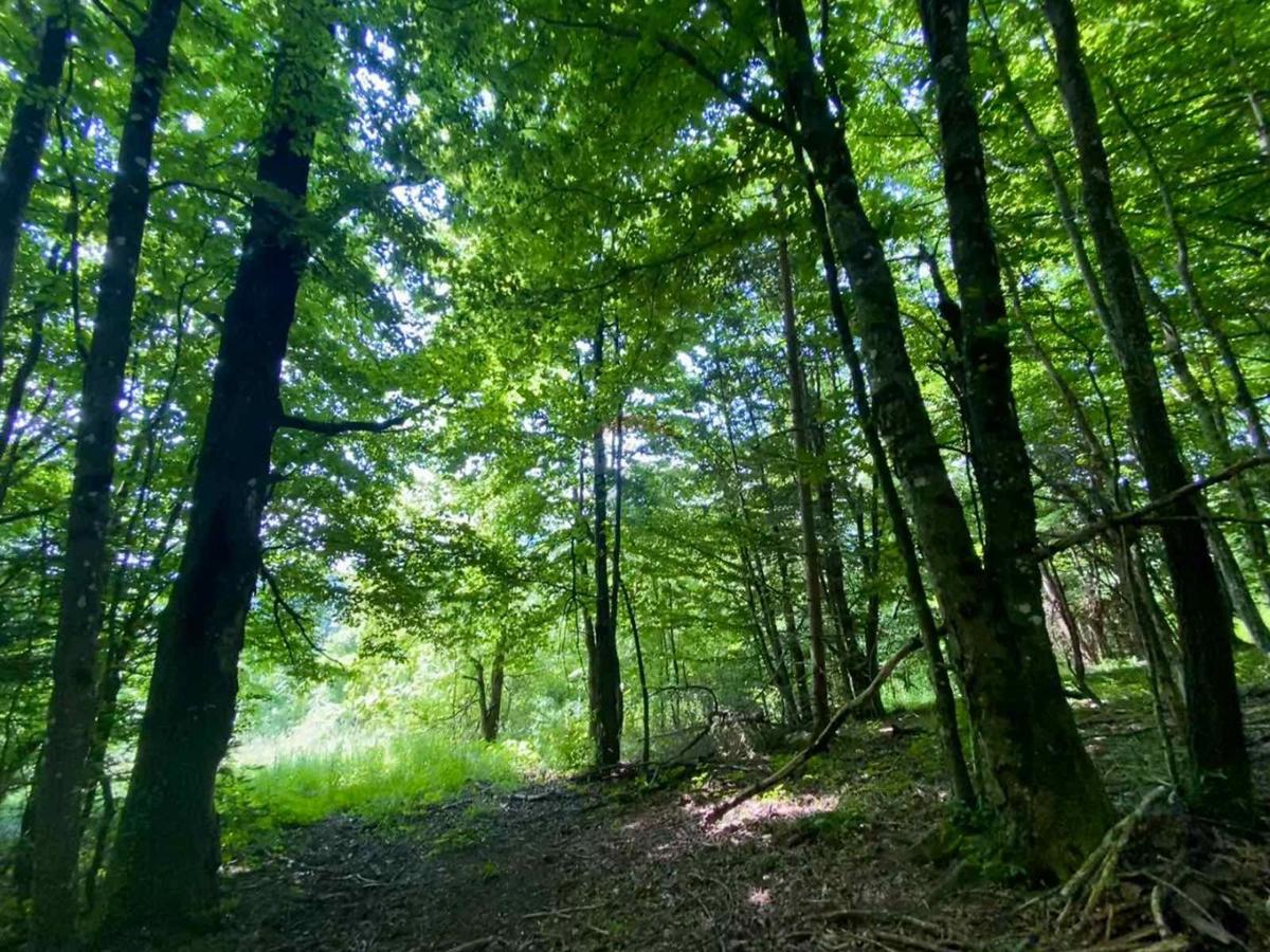 Stavbno zemljišče Vrbovsko, 1.000m2