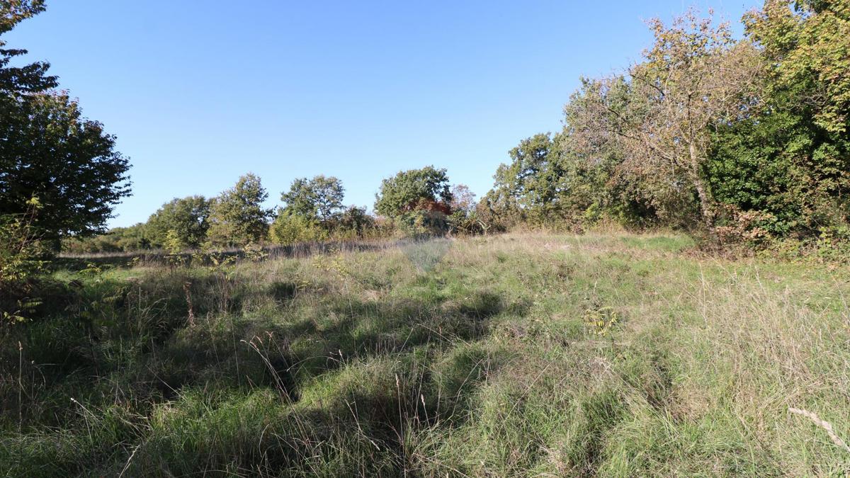 Stavbno zemljišče Baderna, Poreč, 2.930m2