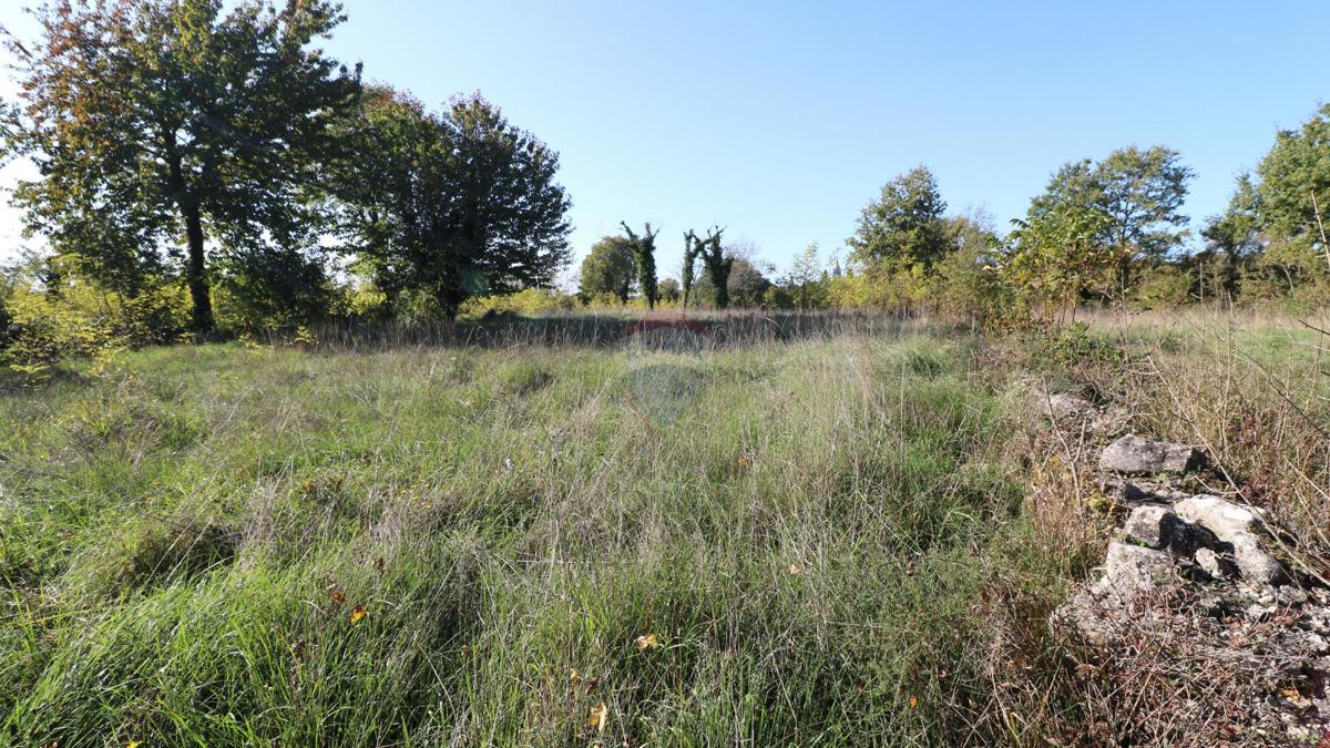 Stavbno zemljišče Baderna, Poreč, 2.930m2
