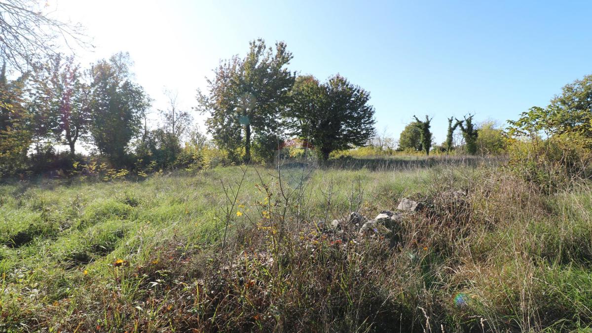 Stavbno zemljišče Baderna, Poreč, 2.930m2
