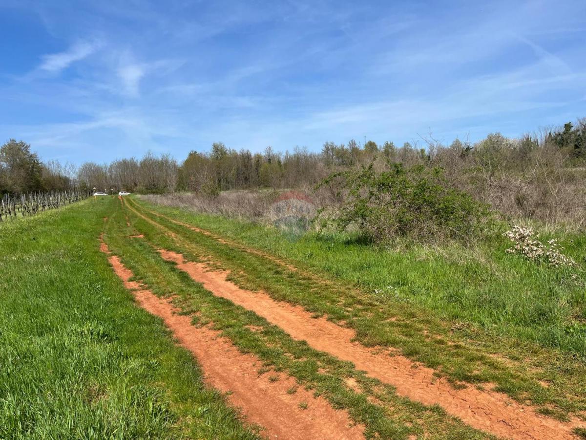 Istra, Lovrečica, Kanal – Kmetijsko Zemljišče 3.795 m²