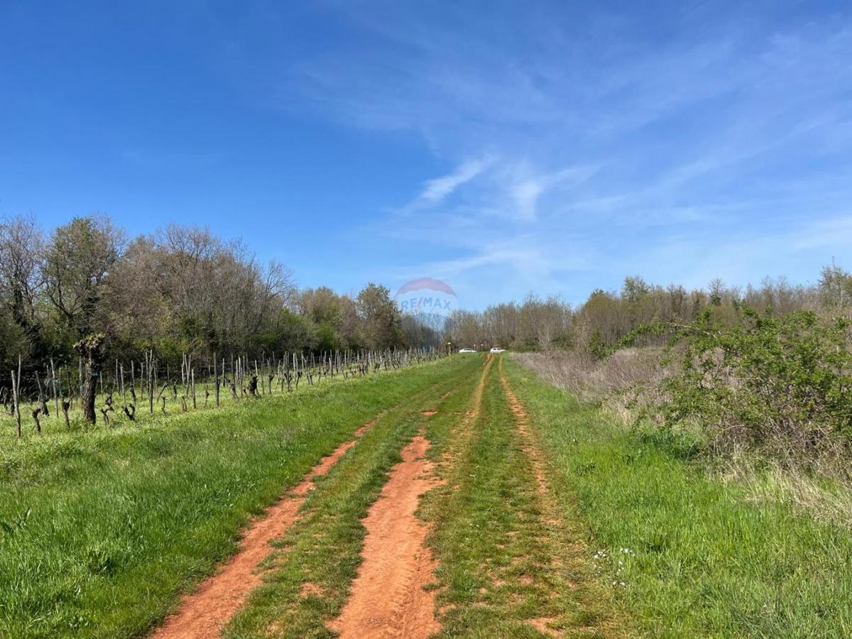 Istra, Lovrečica, Kanal – Kmetijsko Zemljišče 3.795 m²