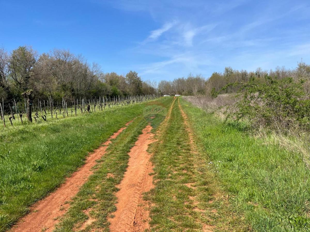 Istra, Lovrečica, Kanal – Kmetijsko Zemljišče 3.795 m²