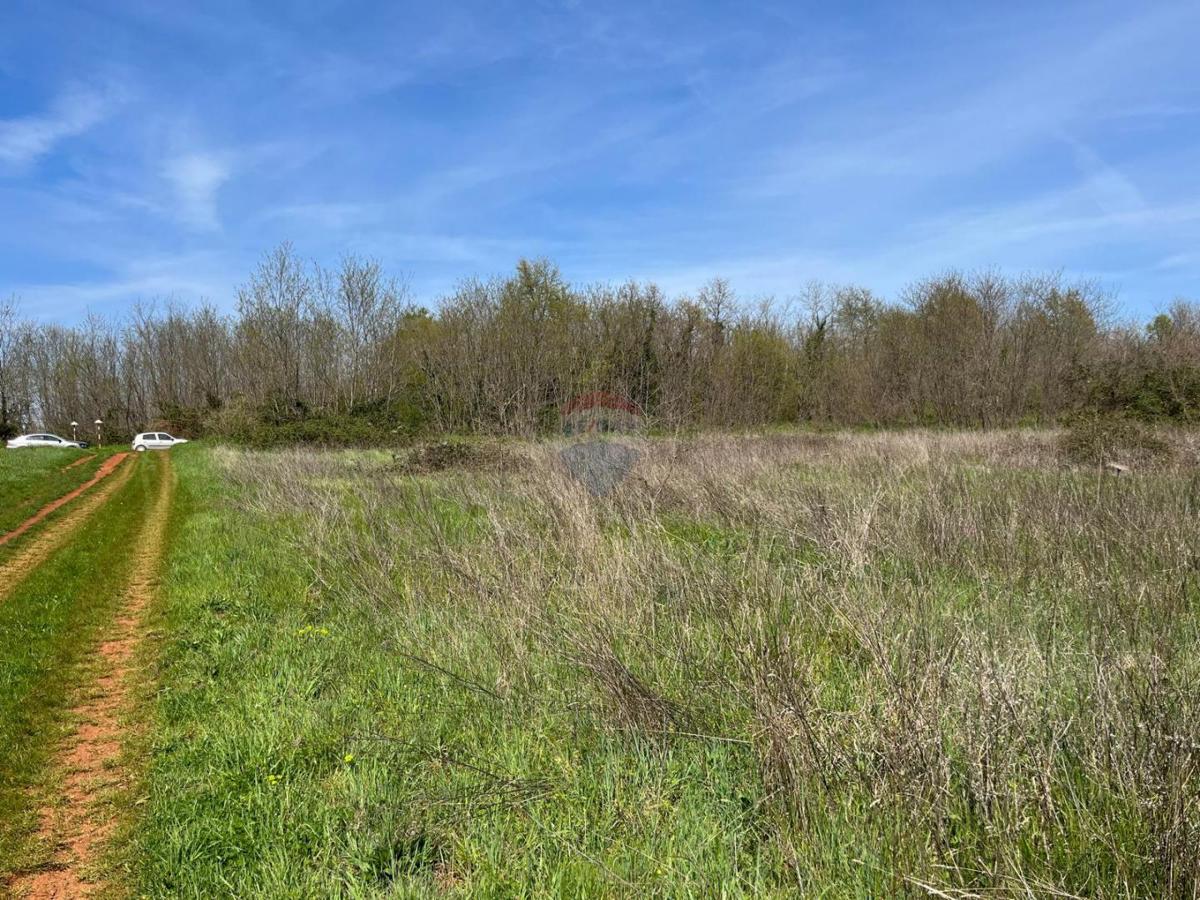 Istra, Lovrečica, Kanal – Kmetijsko Zemljišče 3.795 m²