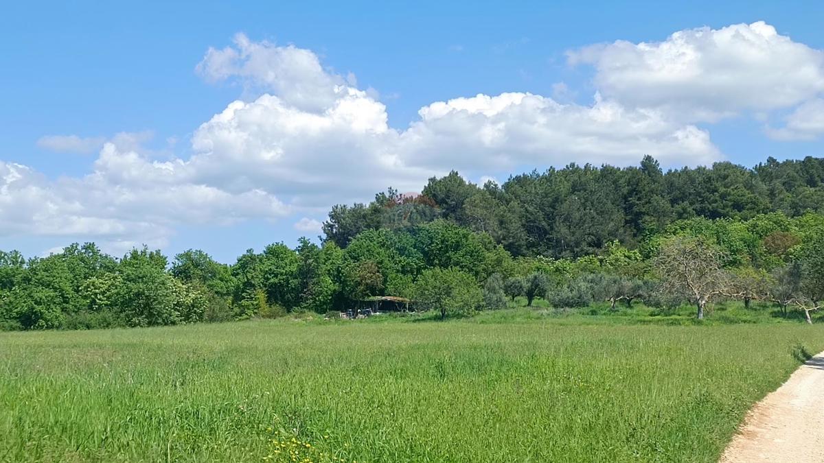 Stavbno zemljišče Sošići, Kanfanar, 1.365m2