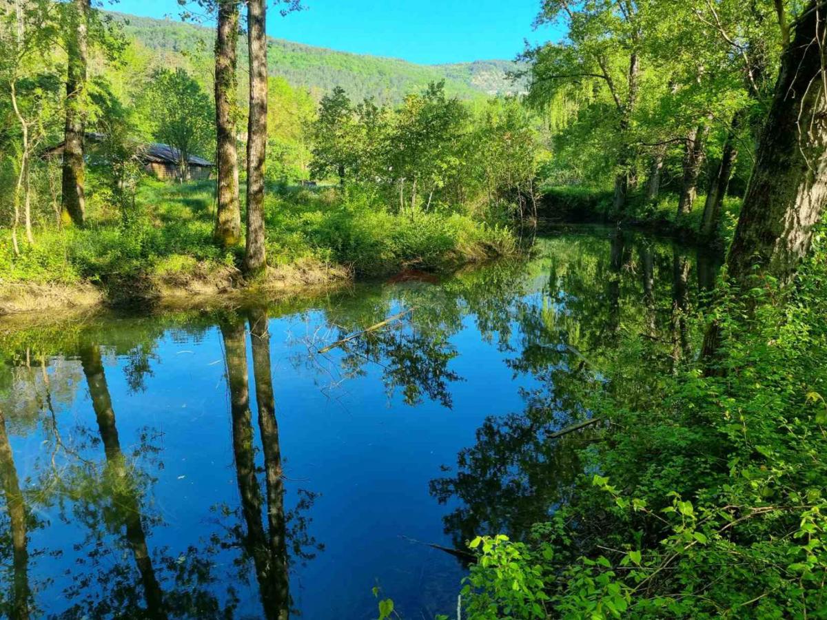 Stavbno zemljišče Buzet, 3.683m2