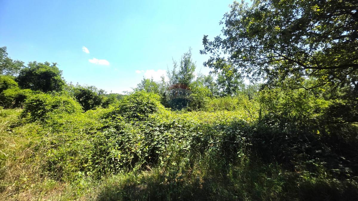 Stavbno zemljišče Brtonigla, 2.036m2