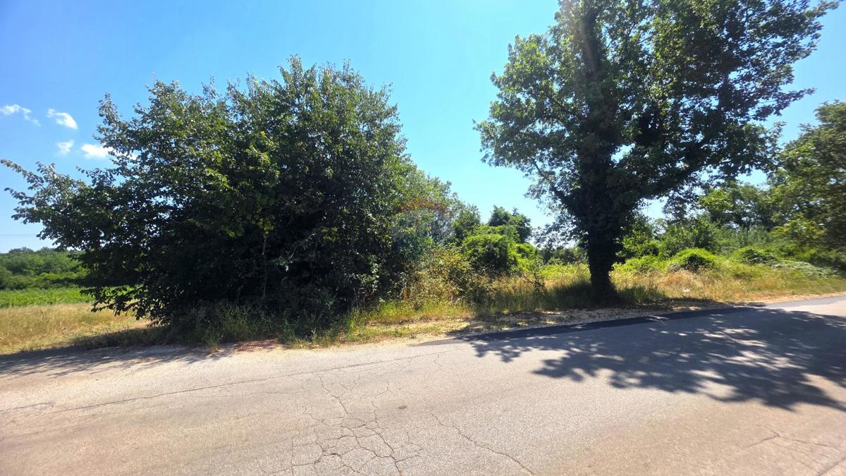 Stavbno zemljišče Brtonigla, 2.036m2