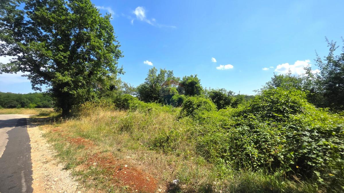 Stavbno zemljišče Brtonigla, 2.036m2