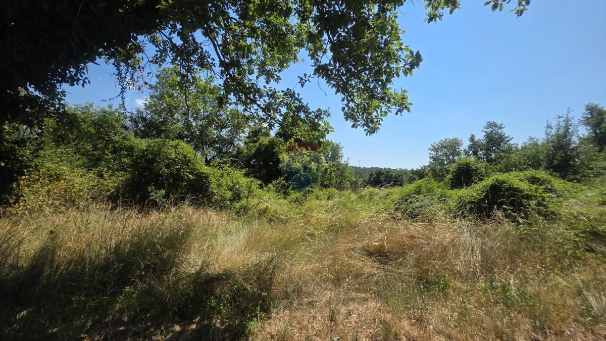 Stavbno zemljišče Brtonigla, 2.036m2