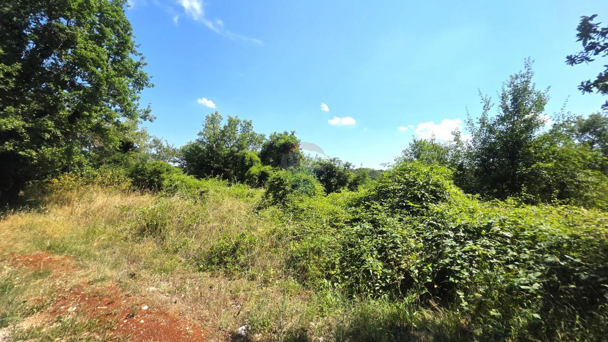 Stavbno zemljišče Brtonigla, 2.036m2