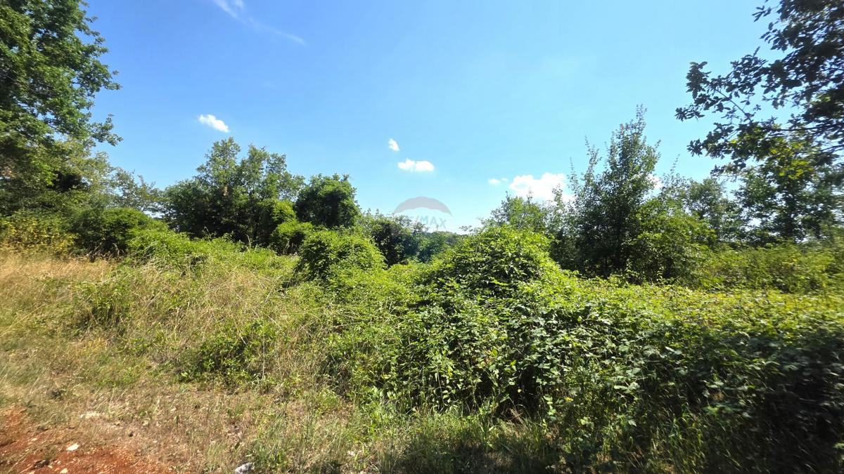 Stavbno zemljišče Brtonigla, 2.036m2