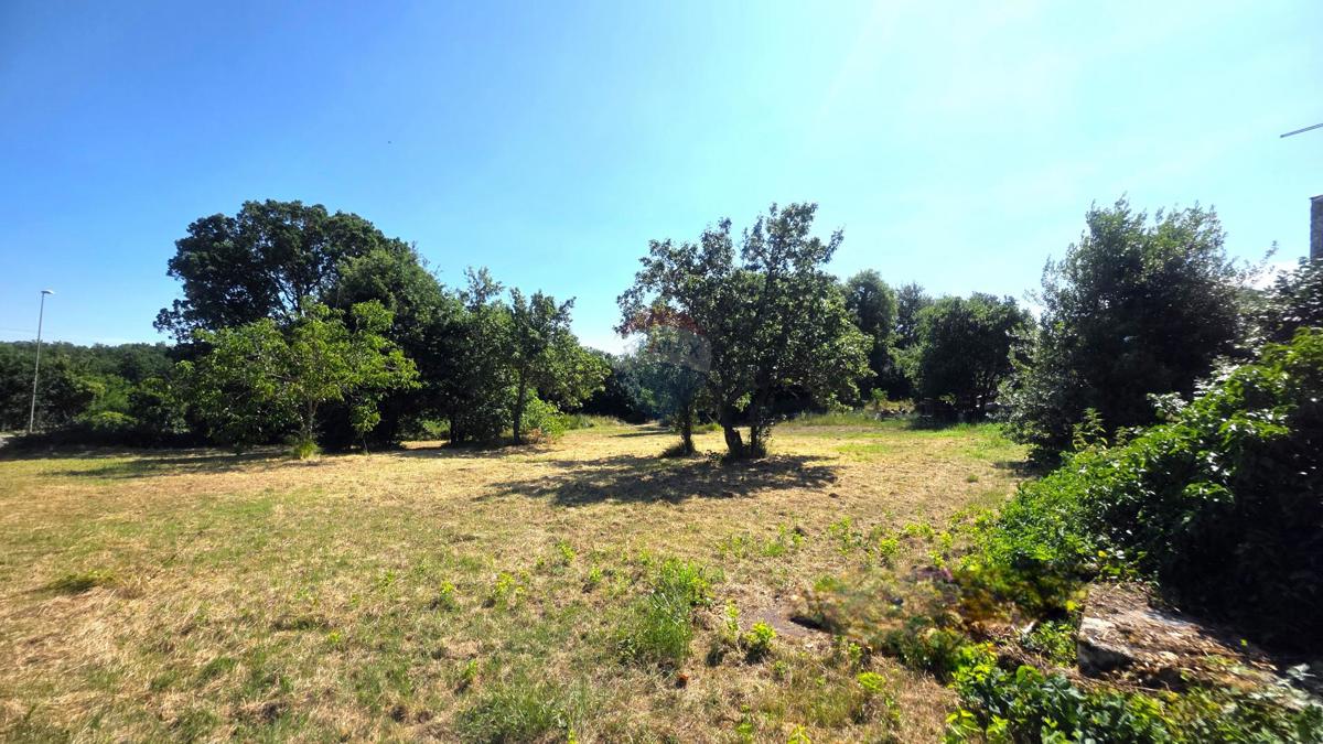 Stavbno zemljišče Brtonigla, 572,10m2