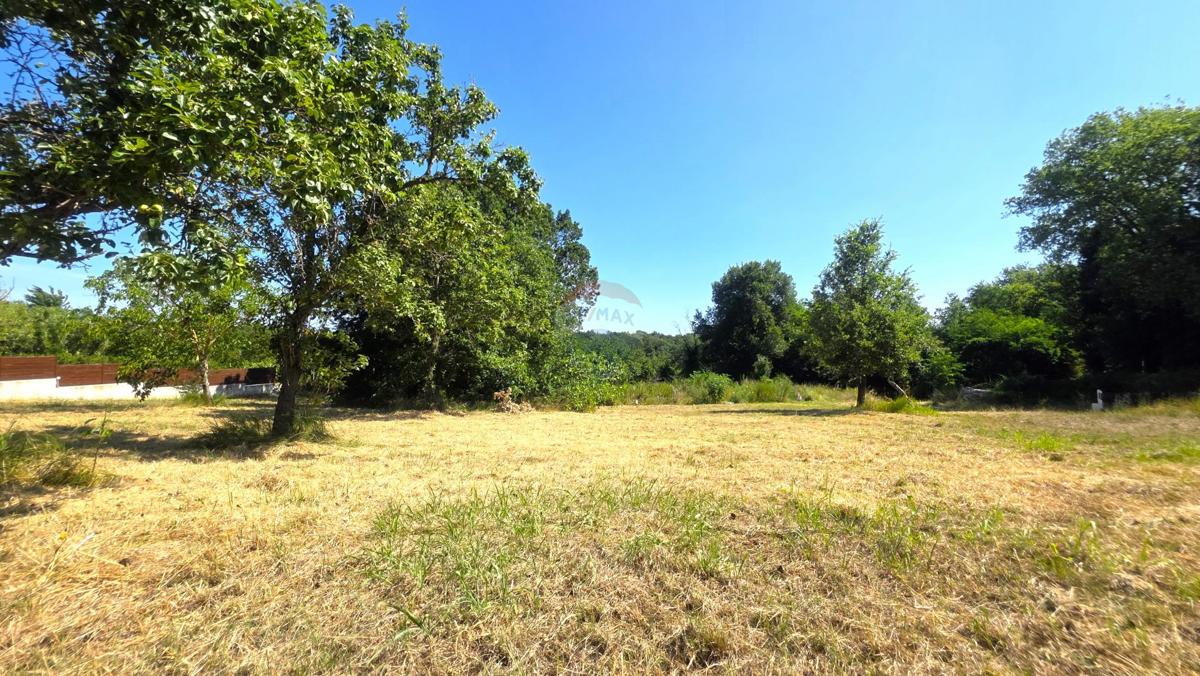 Stavbno zemljišče Brtonigla, 572,10m2