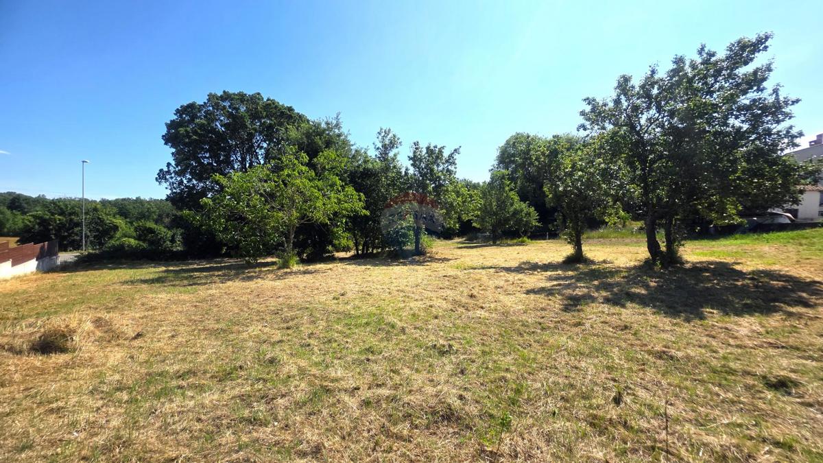 Stavbno zemljišče Brtonigla, 572,10m2