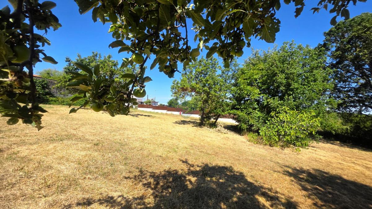 Stavbno zemljišče Brtonigla, 572,10m2